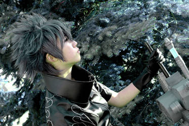 Noctis Cosplay