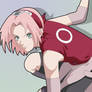 Sakura Shippuuden