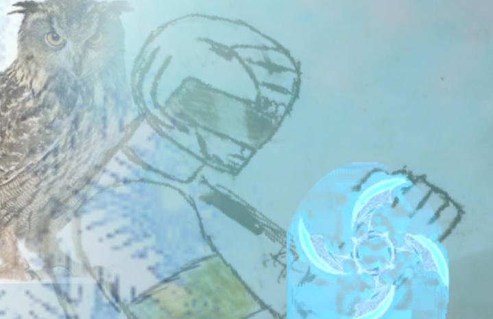 Psi Ice White Snow Owl Johnny Power Ranger by PowerrangersYay on DeviantArt