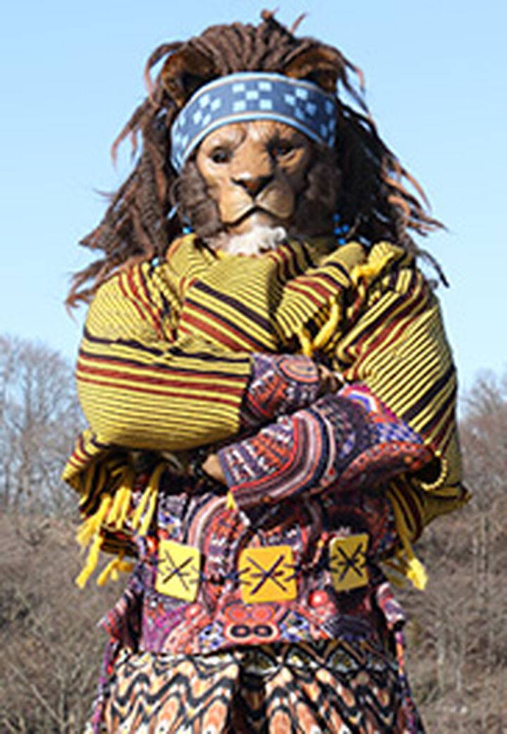 Power Rangers Discovery Lion by PowerrangersYay on DeviantArt