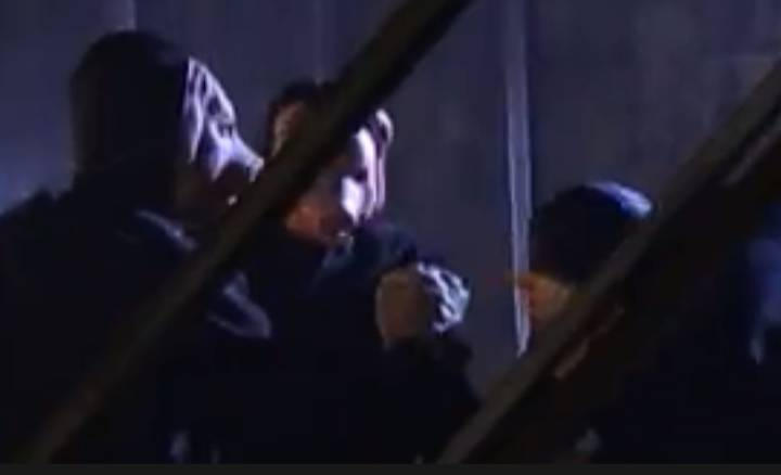 Power Rangers Bushido Trio Piglings by PowerrangersYay on DeviantArt