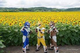 Power Rangers Flower Power Rangers Topiary Sunflowers by PowerrangersYay on DeviantArt