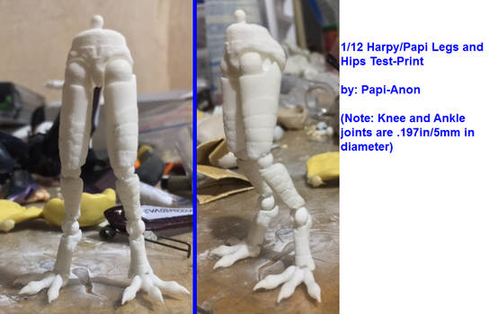 Protomorph MGH Test Print (Hips + Legs)
