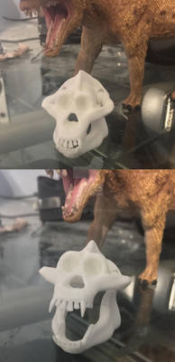 3D Print 1/12 Scale Gigantopithecus Skull