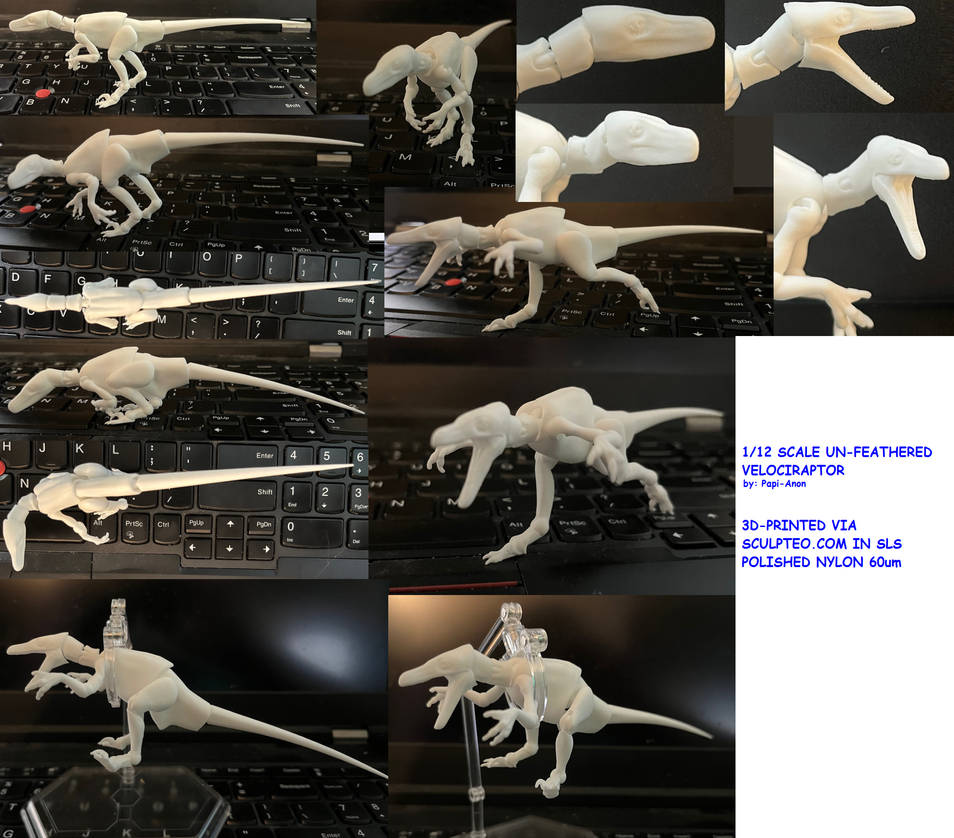 1/12 Scale Velociraptor 3D Printed Action Figure by Papi-Anon on DeviantArt