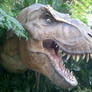 T-Rex up close