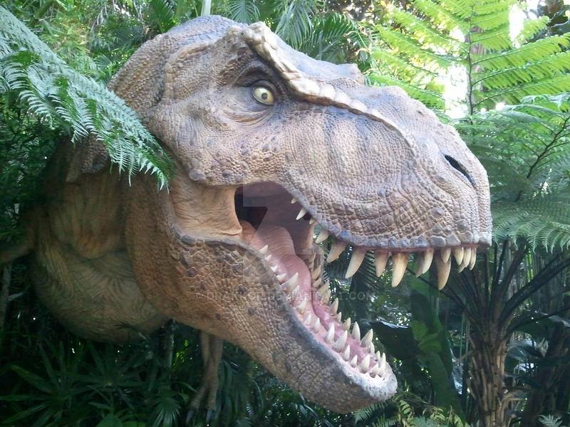T-Rex up close