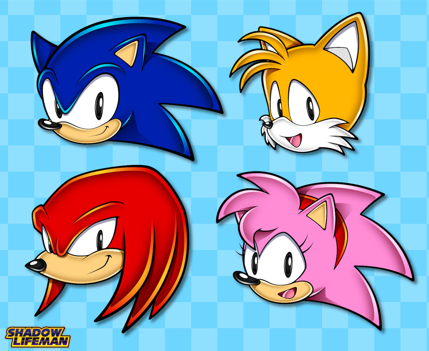 Sonic icons in 2023  Sonic the hedgehog, Sonic, Sonic boom