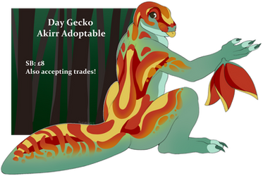 (PENDING) Day Gecko Akirr Adoptable