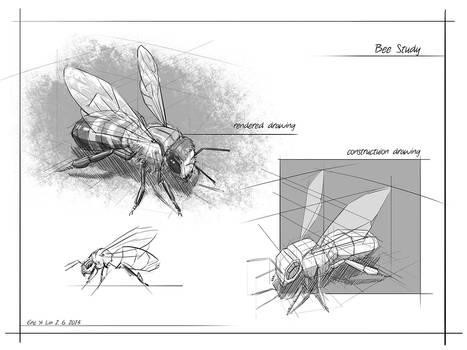 Bee study