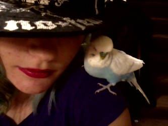 me and bird