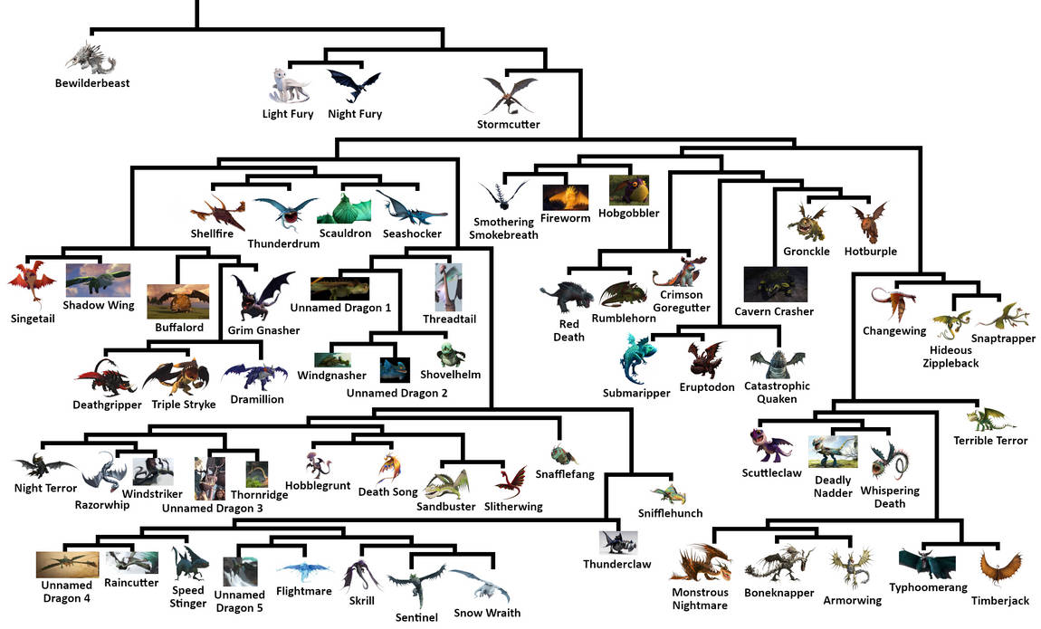 Cladogram of The Dragons of HTTYD by StagBeetleMaster on DeviantArt