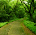 Way To Serenity_ by Misty-Lane