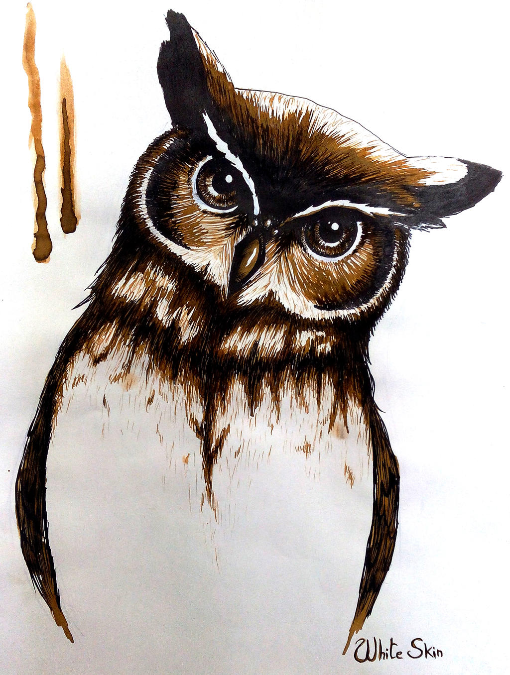 Hibou