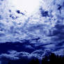 Blue Storm
