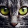 Cats Eyes-close-up 3
