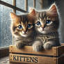 Kittens - no. 1