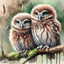Two Owls - no. 7