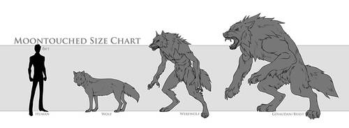 Moontouched Size Chart