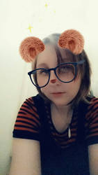 Bear filter