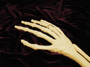 Hand