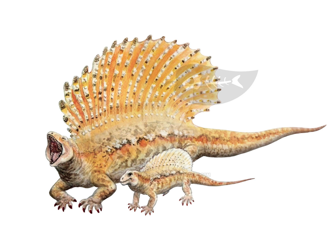Edaphosaur Edaphosaurus credneri by Critterzoology on DeviantArt