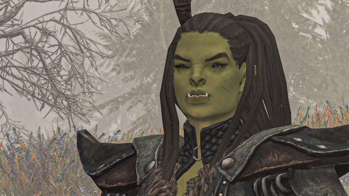 Orcess Skyrim Female orc by Ilya-Streltsov on DeviantArt
