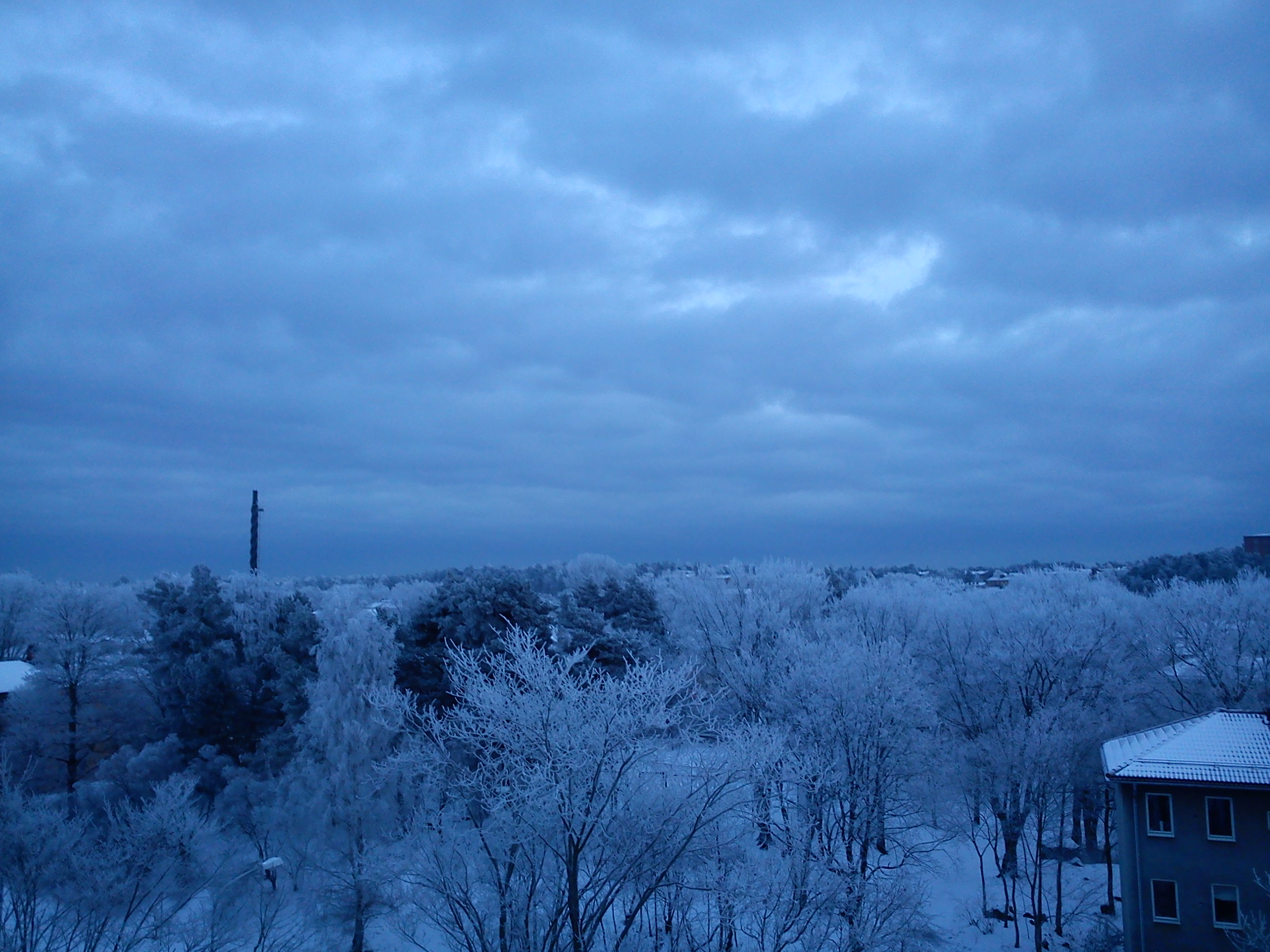 Winter In Sweden