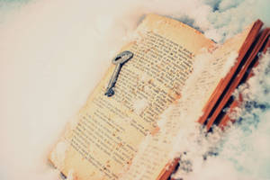 you have the key to my heart.. by blushybubu you have the key to my heart.. by blushybubu