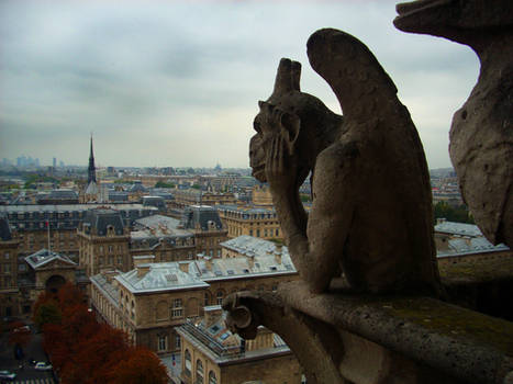 Notre Dame Gargoyle