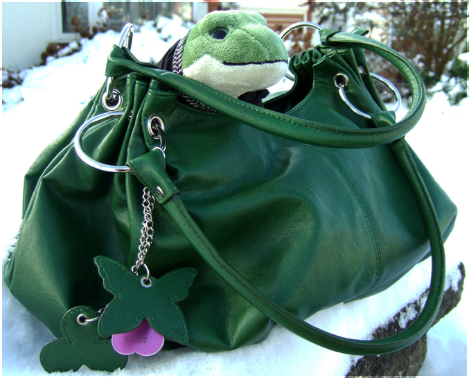 Froggy has some Snow