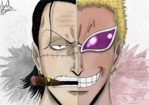 Crocodile and Doflamingo