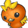 255 - Torchic