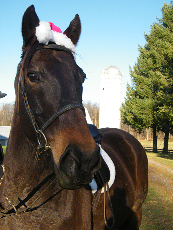 Merry Christmas from Carson