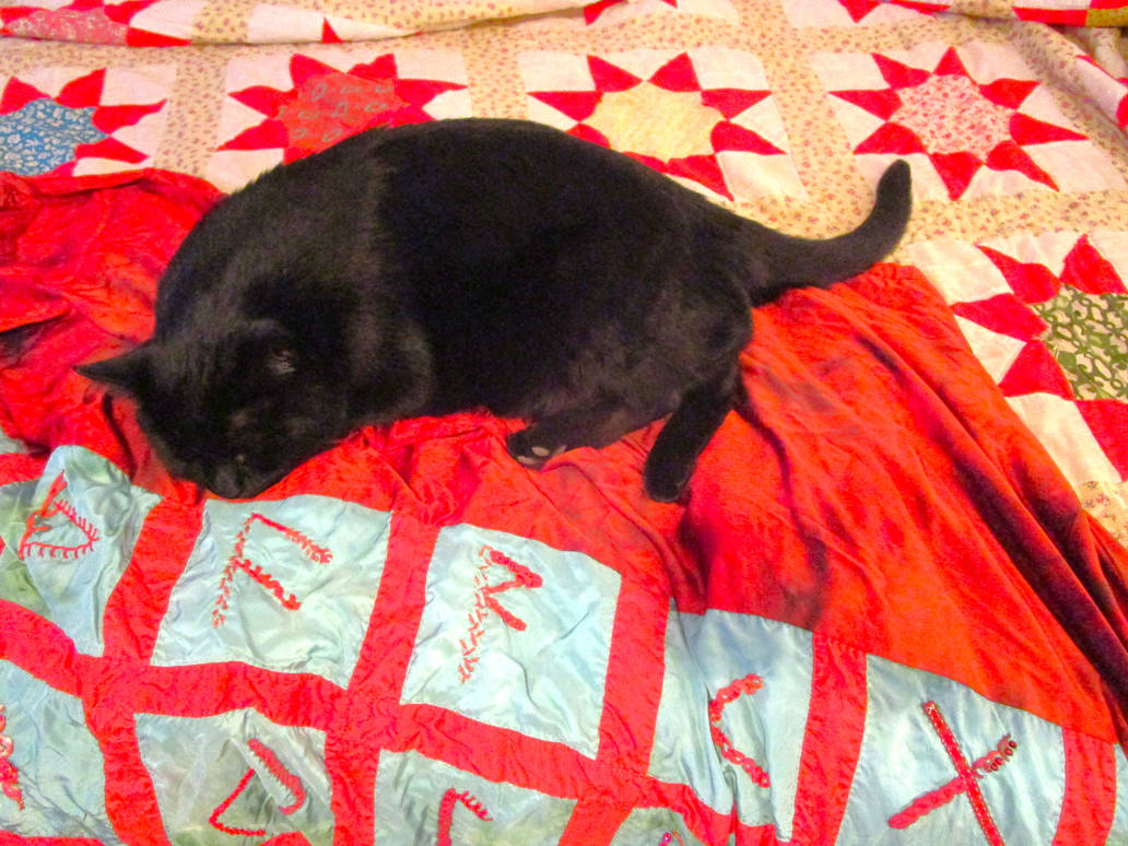 Rune Cat by erinlale on DeviantArt