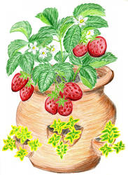 Strawberry Pot