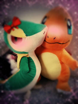 Charmander X Snivy