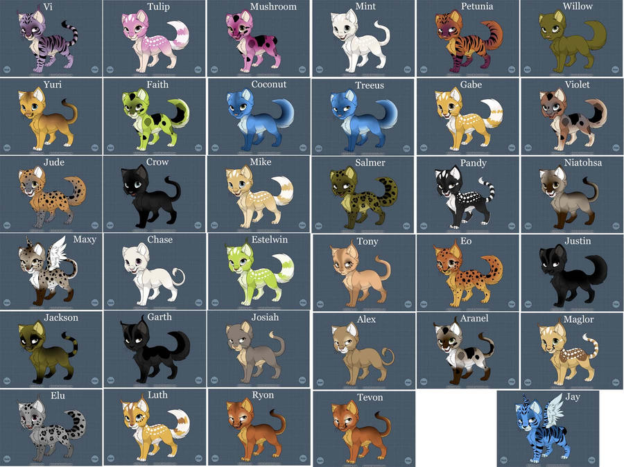 Kitten Maker Characters