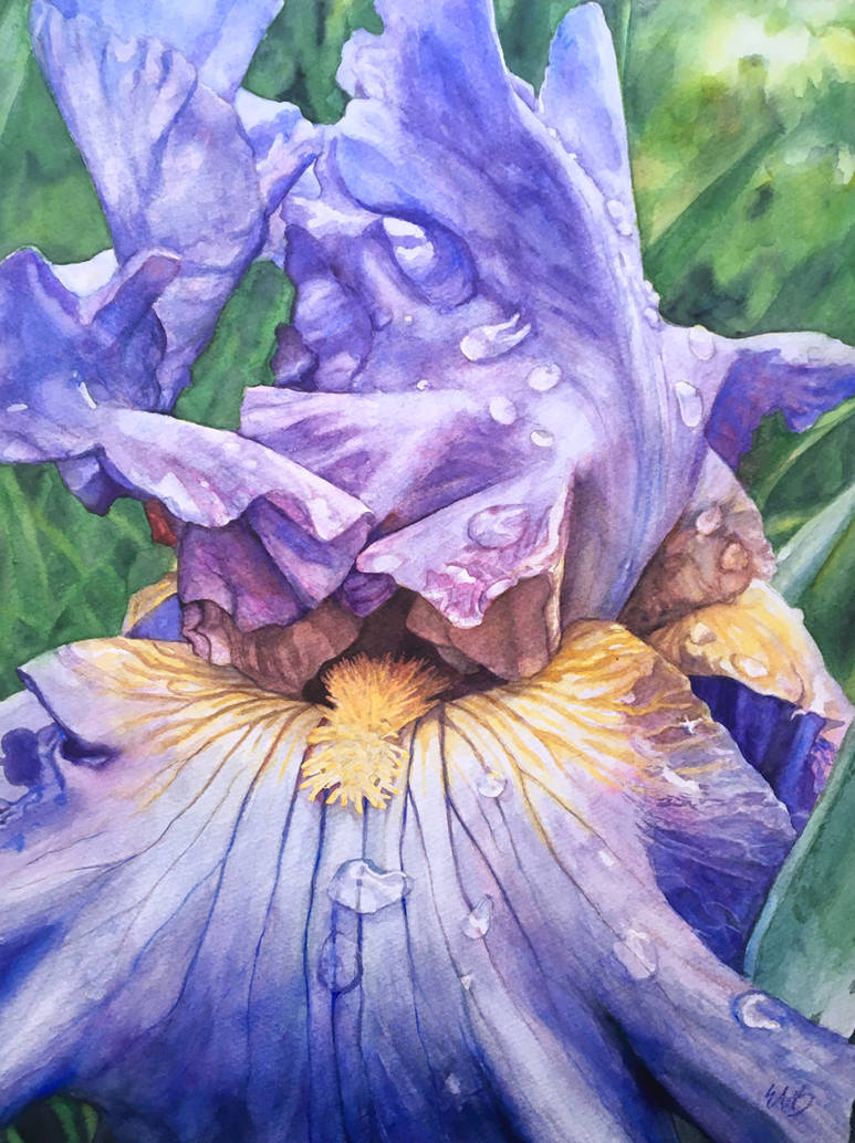 Iris - Efflorescence by ebjeebies on DeviantArt