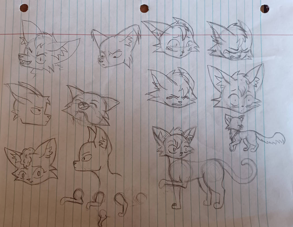 Cat head/expression practice (some reference used) by IcyPopcorn on ...