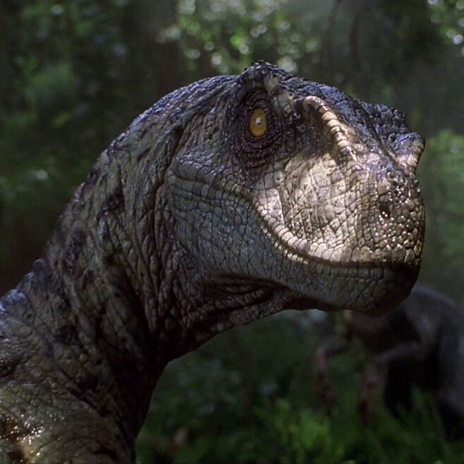 Jurassic park 3 Female Raptor by JBubbs09 on DeviantArt