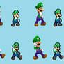 MLDT Luigi Idle sprites