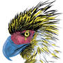 CMYK eagle