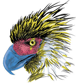 CMYK eagle