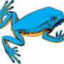 A Blue Frog