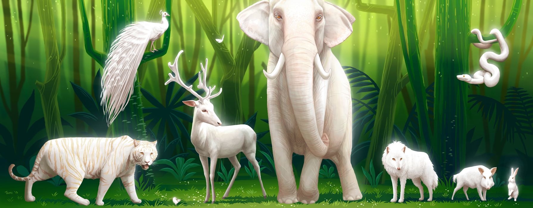Spirit Animals by tamiart on DeviantArt Spirit Animals by tamiart on DeviantArt