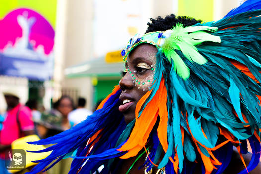 Caribbean parade toronto
