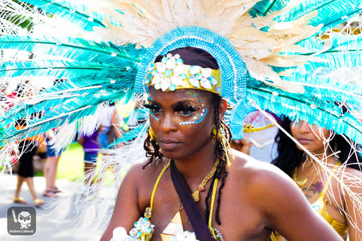 Caribbean parade toronto 2013