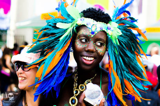 Caribbean parade toronto 2013