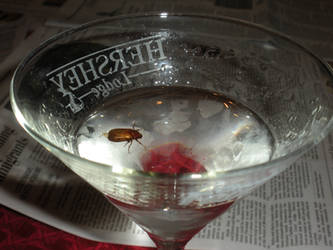 Beetle-tini